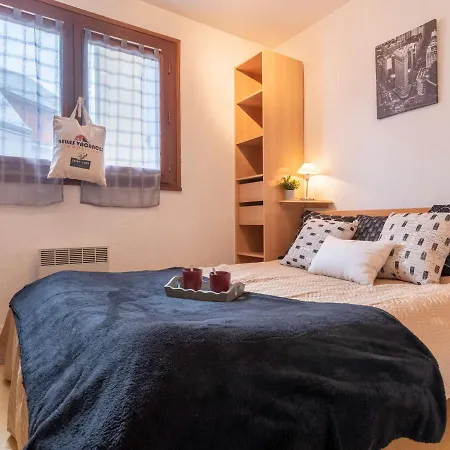 Apartament T2 Proche Commerces Et Telepherique Avec Navette Gratuite Et Casier A Skis - Fr-1-296-368